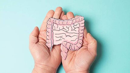 Gute Nachrichten für die Darmgesundheit