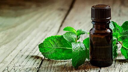 Stimmt es, dass pflanzliche Arzneien immer bedenkenlos eingenommen werden können?