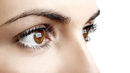 Gesündere Augen durch Metformin?