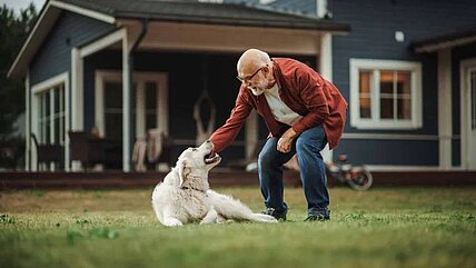 Durch Spielen lässt sich die emotionale Verbindung zwischen Mensch und Hund verbessern